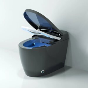 Hynova AX5 Automatic Smart Bidet Toilet with Multi-Function Gray 1.28 GPF