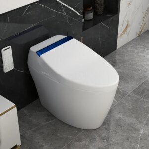 Hynova AX6 Automatic Smart Bidet Toilet with Deodorizing Function White & Blue 1.28 GPF